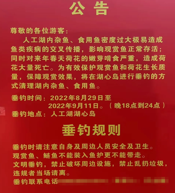 饵料|总算有部门发现钓鱼人好处了,烟台一公园发公告找钓鱼人清理杂鱼