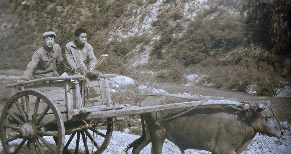 一位单身老知青的烦心事:家里雇了女保姆,别人说闲话,他很苦恼