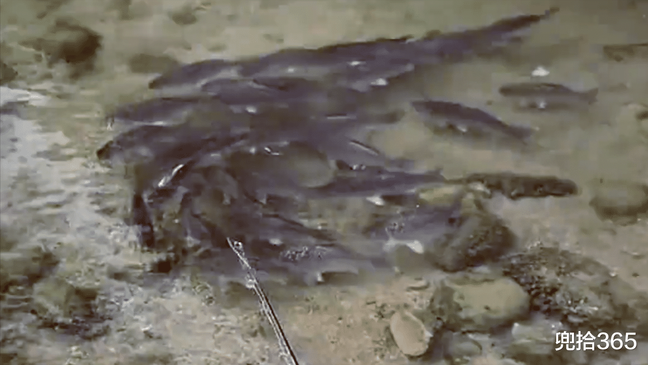 |男子班都不上去垂钓，结果却是一无所获，网友：谁钓谁还不一定？