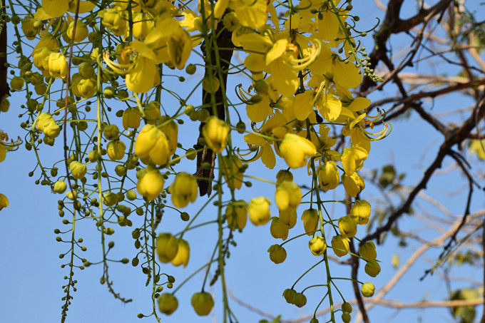 温泉|泰国浅游甲米~清迈