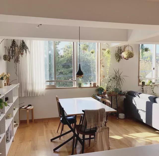 越简单,越快乐!北海道女作家75㎡复古之居,简单的生活很精彩