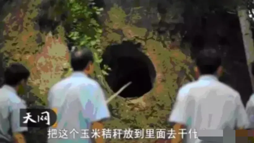 妻子被性侵8小时，丈夫亲眼目睹，残忍细节不忍直视