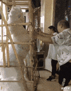 南瓜|“女朋友在公司睡太多,回家都不睡觉了...干中介的心酸泪”