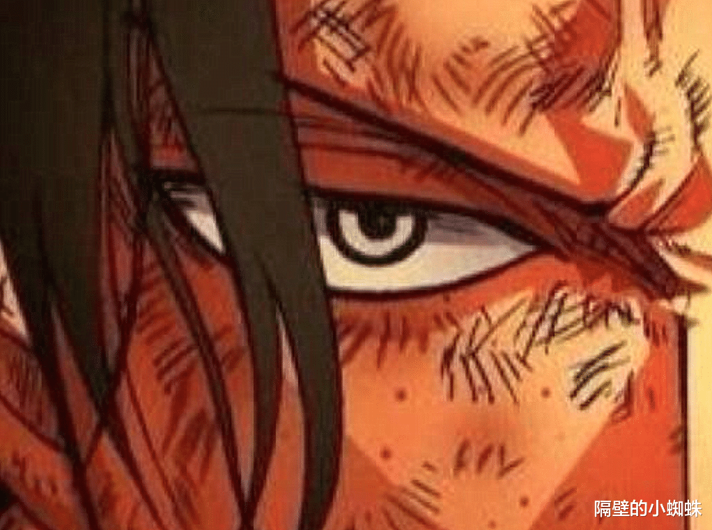 武装|海贼王：九位强者的“眼神杀”！答对3个及格，全部答对是真爱粉