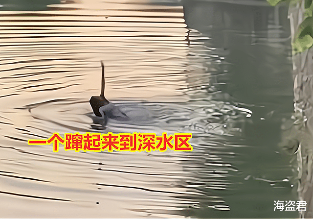 女子闹情绪跳河,男友不会游泳为救她溺亡,女子获救后望着水面愣神
