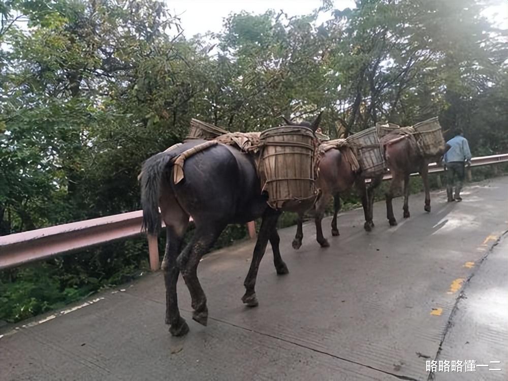 考研|二本女孩脱产考研三年，如今求职更难了