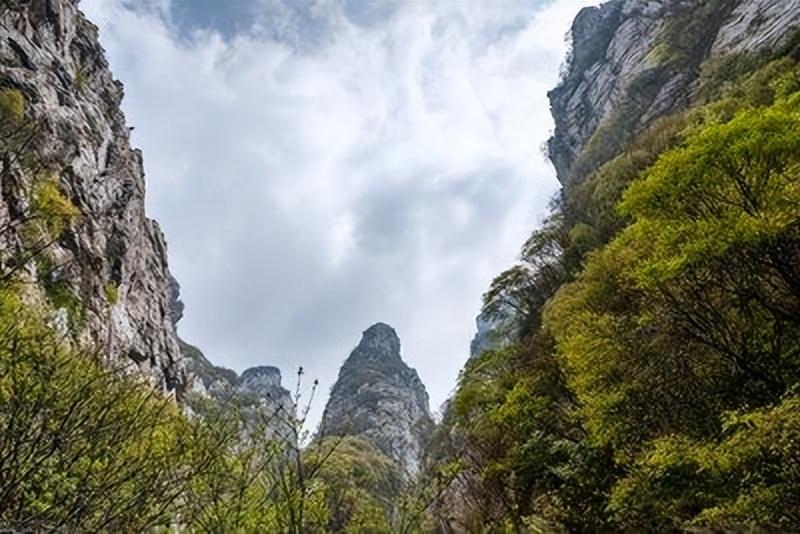 销售额|就差空气收费了,我国出了名“宰人”的三座名山