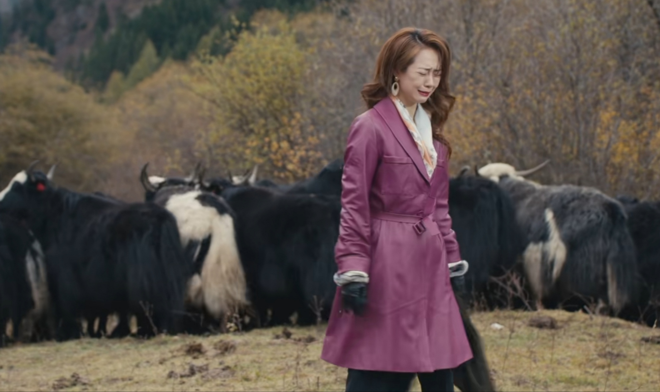 昆仑神宫|《昆仑神宫》前4集观后感：韩淑娜喧宾夺主，导演庸俗了