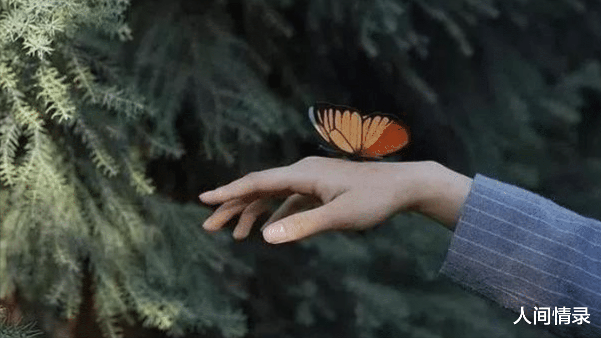 吴昕|杜海涛官宣结婚，吴昕送出12字真言，背后隐藏着你不知道的秘密