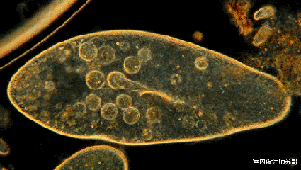 别在玄关放“门垫”了!又脏又土气,学年轻人这样做,美观又实用