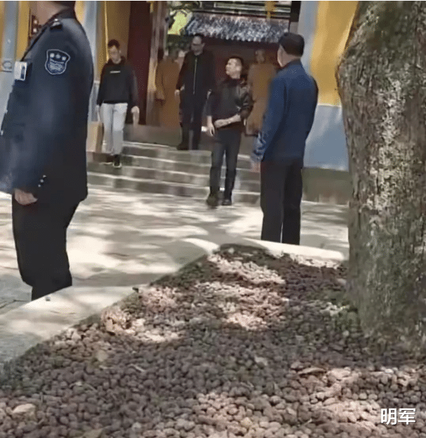 青海湖|马云到普陀山普陀寺旅游,随从的人还不少,方丈亲自送到门口