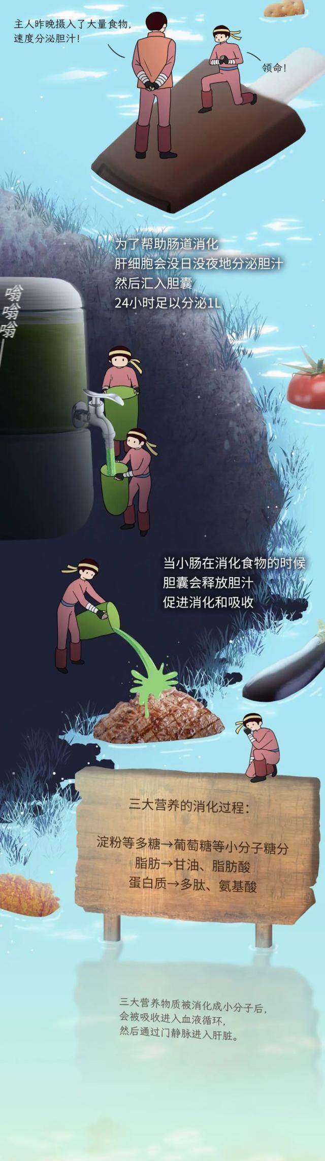 肝脏|为何说肝脏永远只有3岁？肝脏没有痛觉，为什么还会出现肝疼？