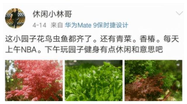 杨幂|杨幂的豪宅火了,庭院的花草蔬菜太抢眼,堪称娱乐圈的一股清流