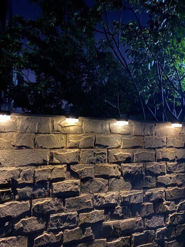 ?花3年时间,折腾一个低维护的小花园,院子这样装太适合懒人了!