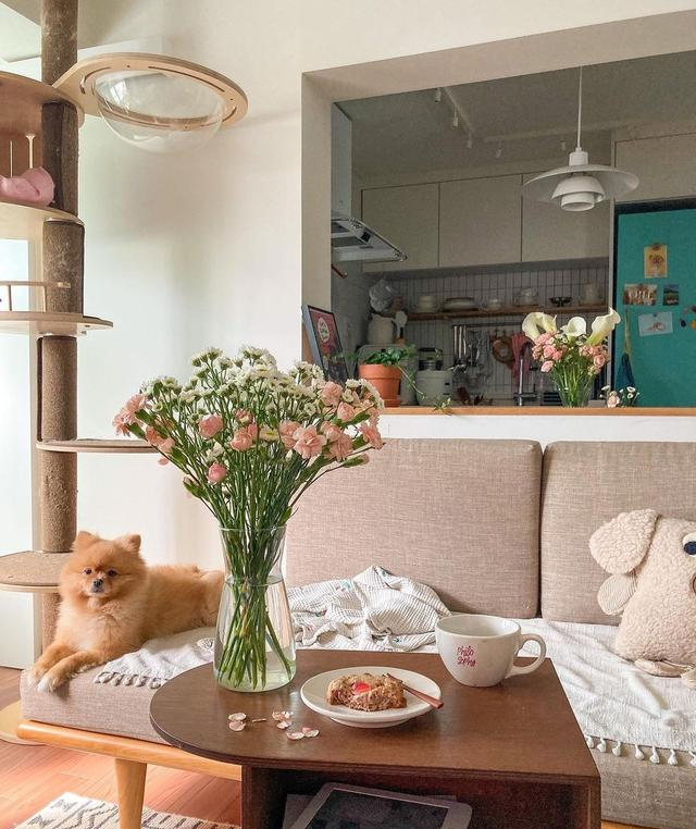 55㎡小公寓,养花养草外加一猫一狗,这不就是理想的一人小家?