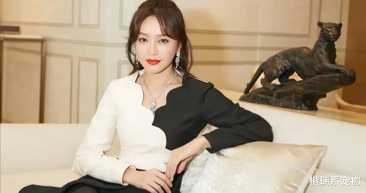 秦岚|给2022年8位“最美”国剧女星排个名次,秦岚第3,杨蓉第5