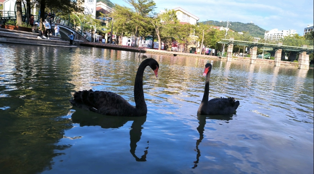 收音机|2023兔年春节数码年货都有哪些?