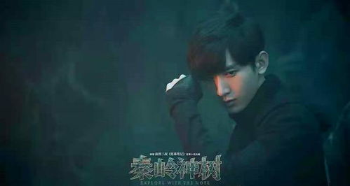 张起灵|《盗墓笔记》张起灵：全书的战力天花板，拥有完美的长生体质