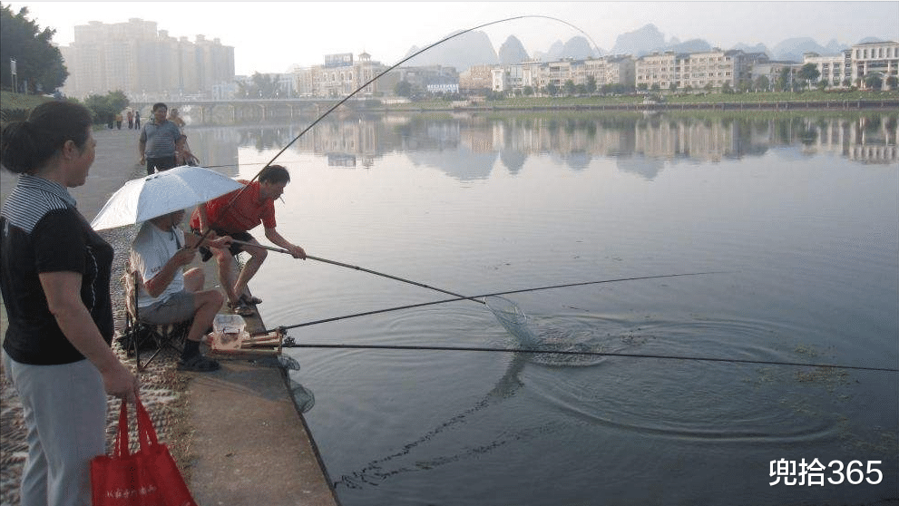 武汉|男子钓鱼流浪猫乖巧等待一夜，吃饱后还会把小鱼叼给别的小猫