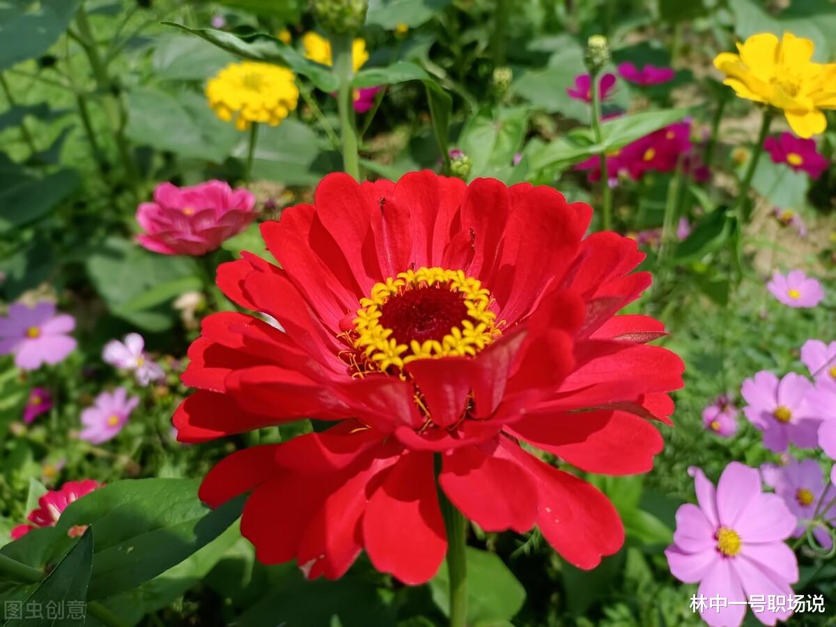 |三个小锦囊，走出选择的迷茫