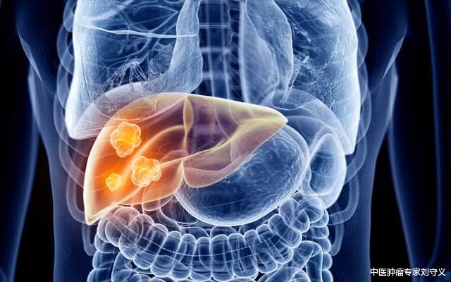 卡路里|分享抗癌良药——龙葵,俗称黑天天,功效清热解毒、活血消肿