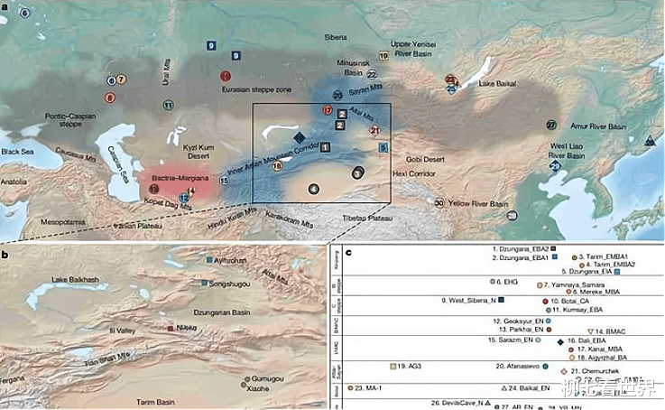 罗布泊千年干尸分析：祖先是古北亚欧人，1.2万年前几乎灭绝