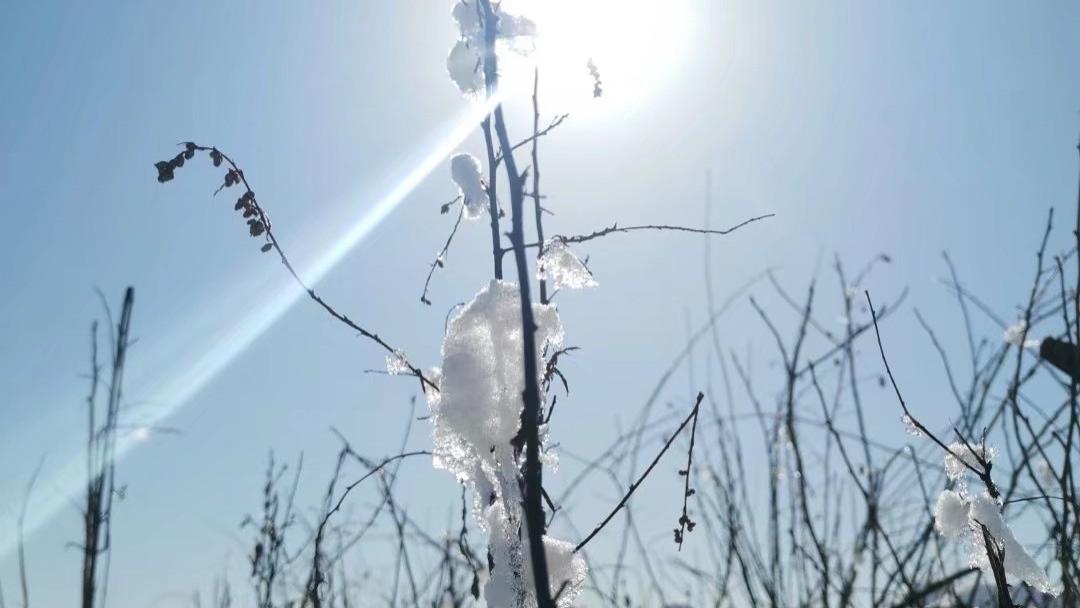 听说家里在下雪