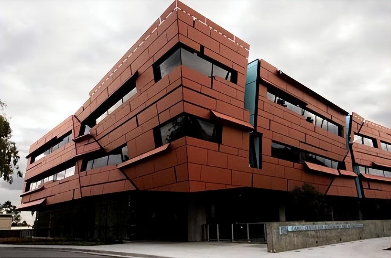 黄晓明|美女教授“学术界妲己”，12年结婚4次