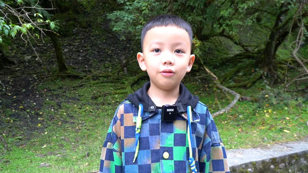 露营|二郎山喇叭河景区:人与自然和谐相处