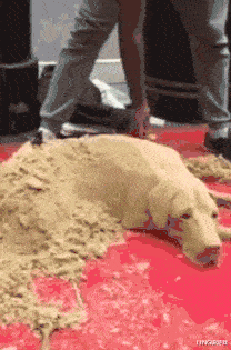 见过直接对着水龙头喝自来水的,没见过对着马桶喝水的,请问,马桶里冲出来的水味道怎么样呢?