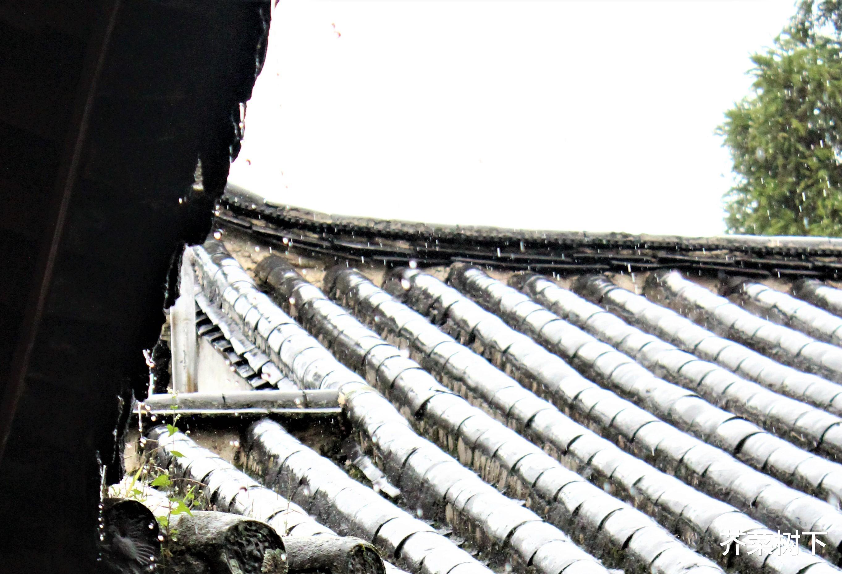 |职场遇到停滞，怎么办？