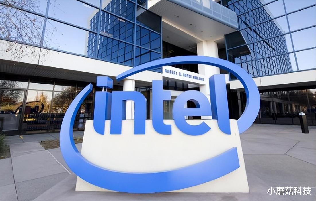 阿迪达斯|不装了？美国芯片巨头正式宣布，阿里开始扛起大旗！