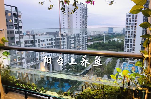 阳台不晒衣服、不种花,打算用来养鱼?这4点不注意,你还是外行