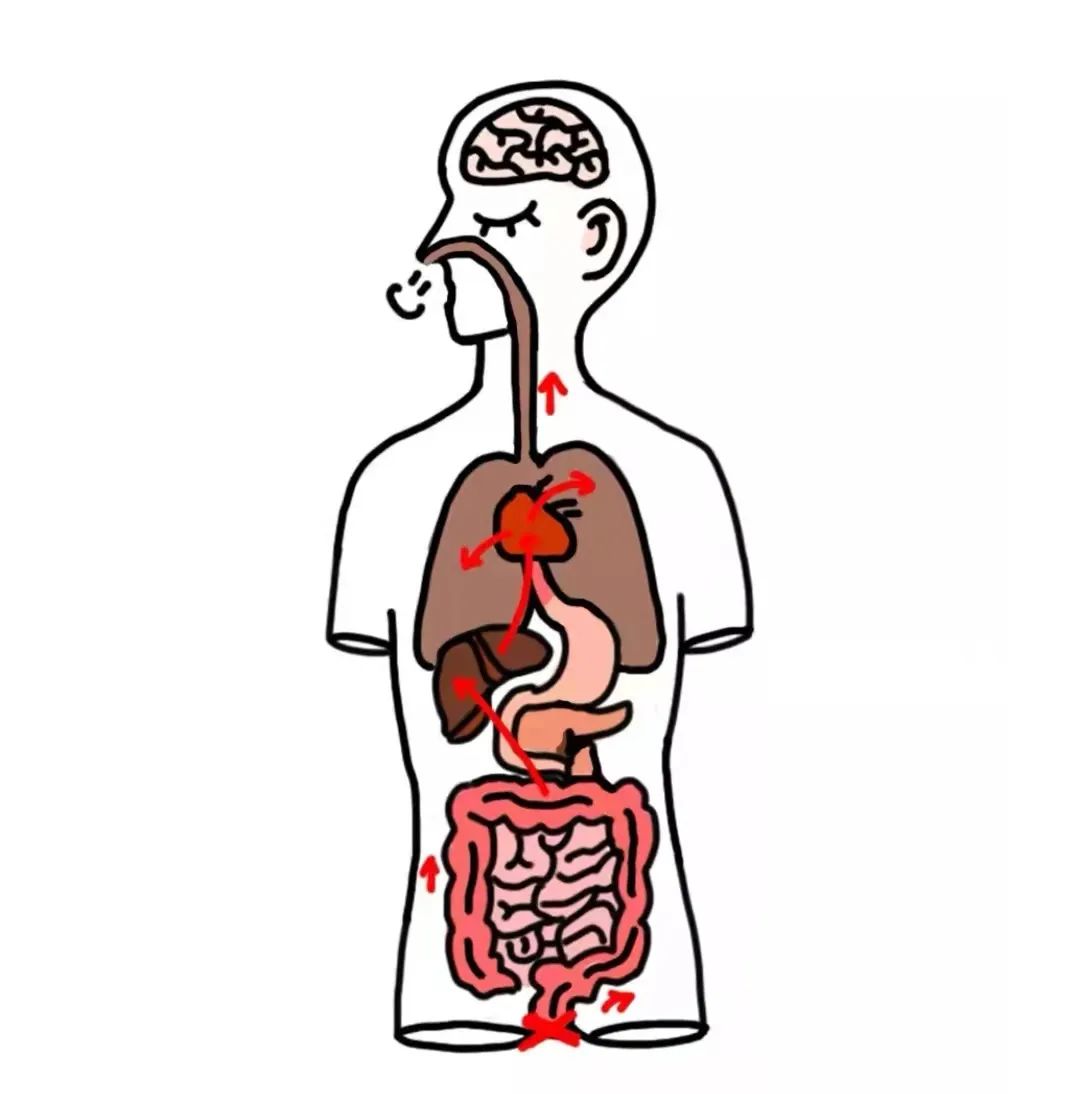 运动|放屁没那么简单......这3种屁尤其要注意！
