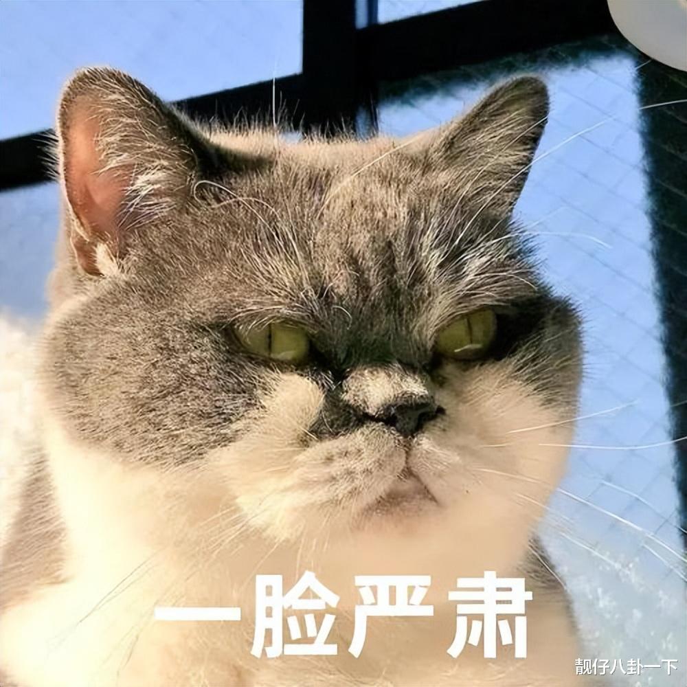 |教师性别失衡：为了“平衡”降低入行标准，只会降低教育的质量