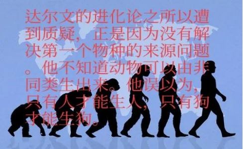 究竟是先有柒号鸡还是先有美学蛋?