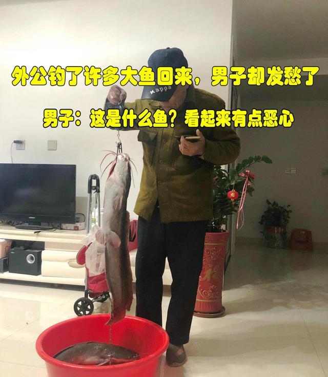 福建南平:外公钓回来许多大鱼,男子却发愁了,这些鱼能吃吗?