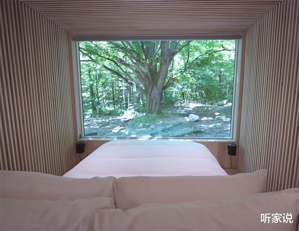 33岁老哥隐居森林中，亲手建起18㎡“隐形”蜗居，网友：太佩服了