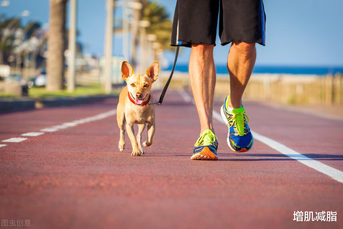 燃脂 学习5个燃脂技巧：“早起2要，吃饭3不要”，体重下降10斤