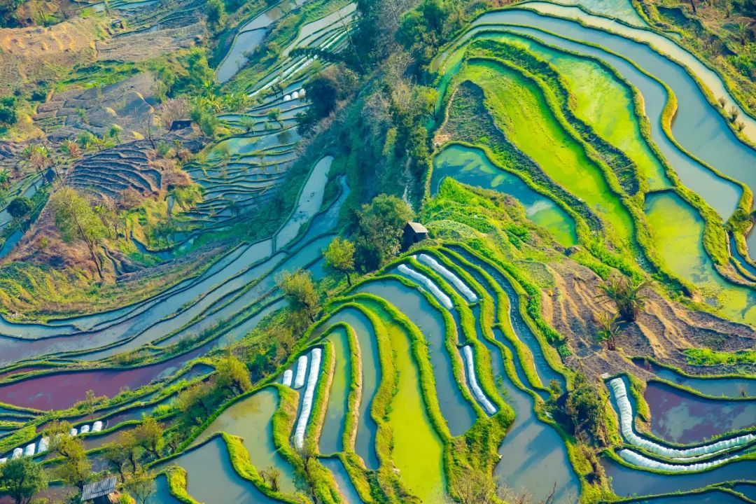 北海湿地|2022年60岁前必去20个，你去过几个？
