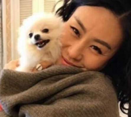 参观邬君梅住的豪宅,会客厅摆放了山水画,装修也太高档了