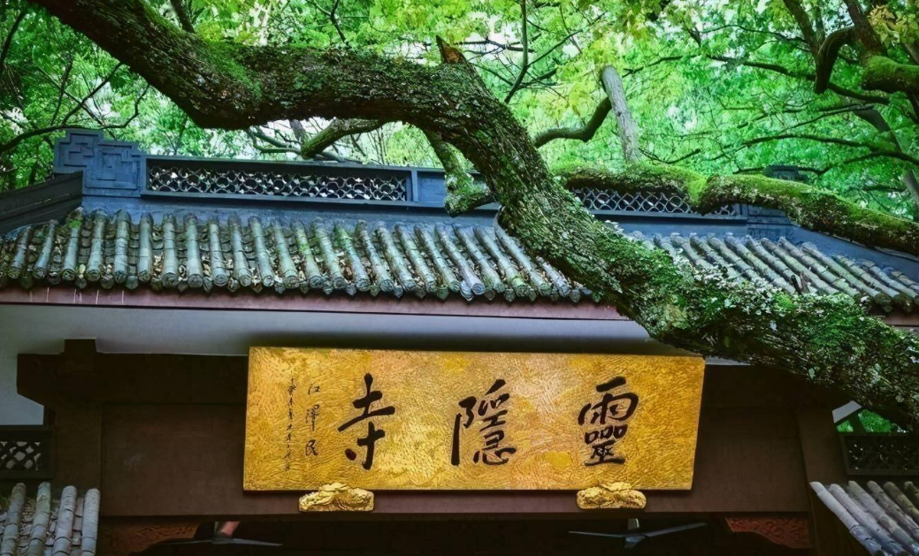 大观园|爱琴谷:爱琴谷是融合了多个原生态旅游项目的度假区