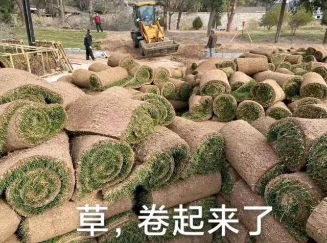 |职场上的披荆斩棘？不，摸鱼变形记