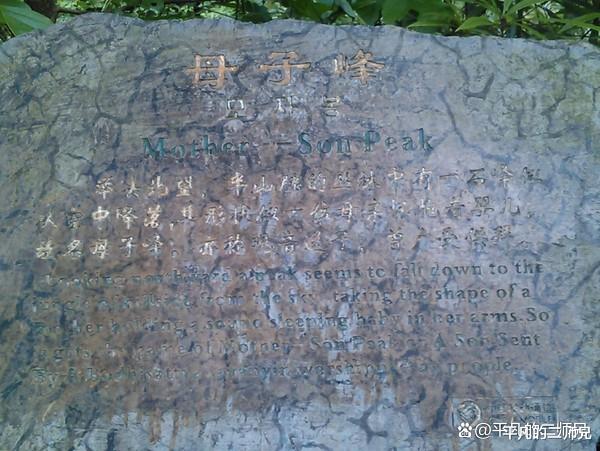张家界|张家界的“奇山怪石”你看过多少？有人看过四处以上的吗？