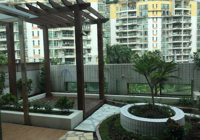 心血来潮在阳台砌个花园,参观者快把门槛踩破了,邻居都很羡慕
