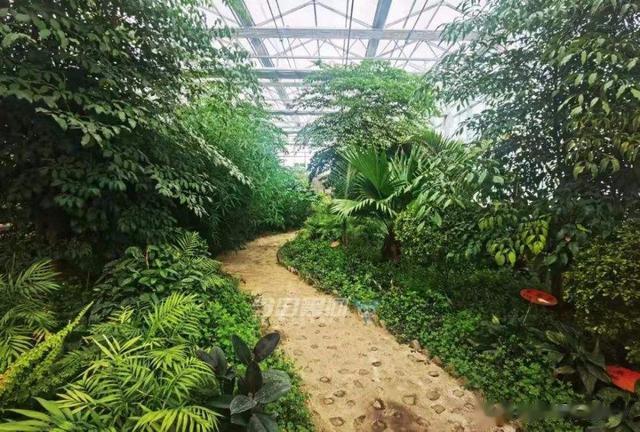 贝加尔湖畔|一个东北人，把生态餐厅开到了贝加尔湖畔，在当地引起了轰动