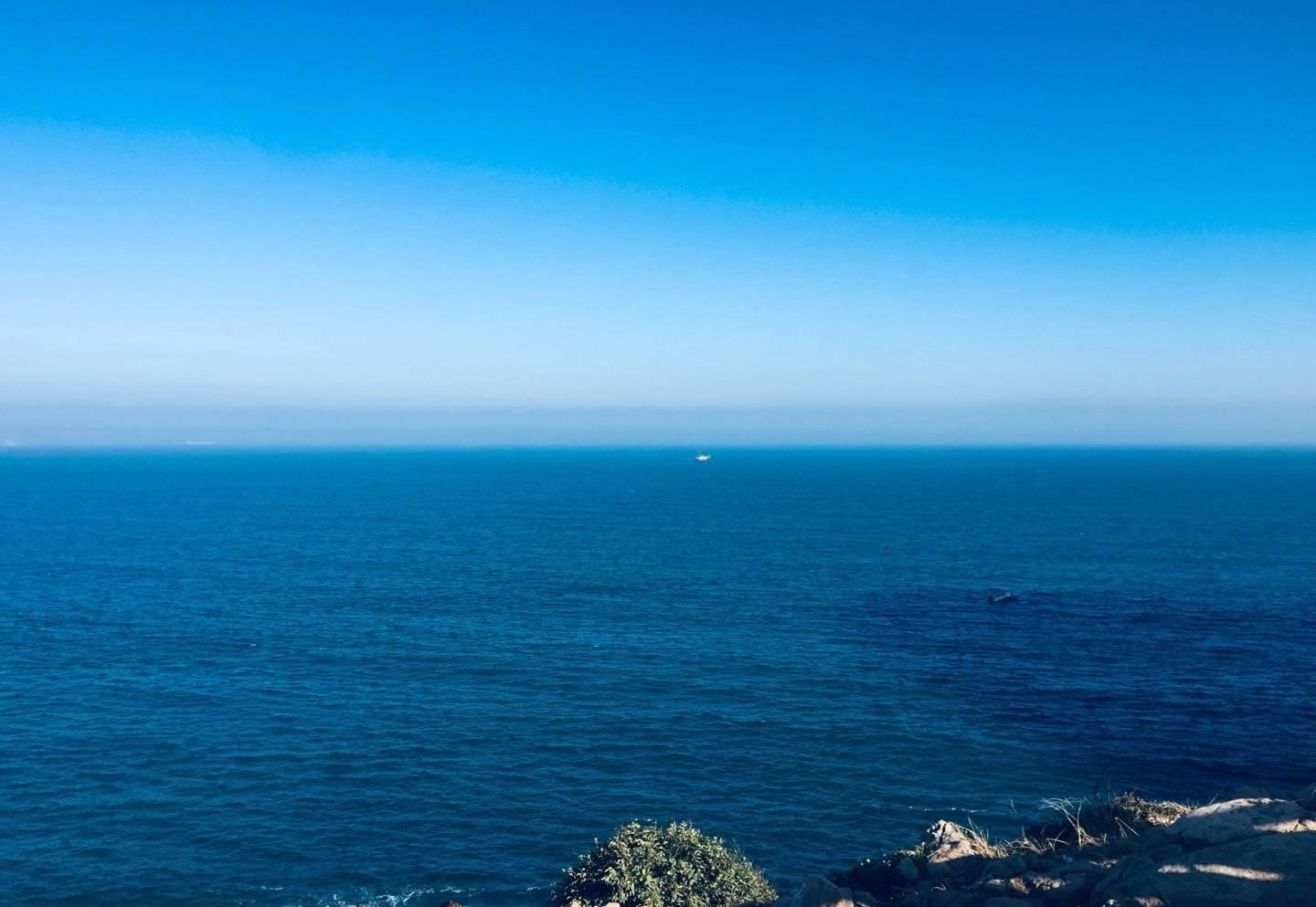 上海市|职场里为什么每个人都欺负老好人,只有一个原因,知道就能变强