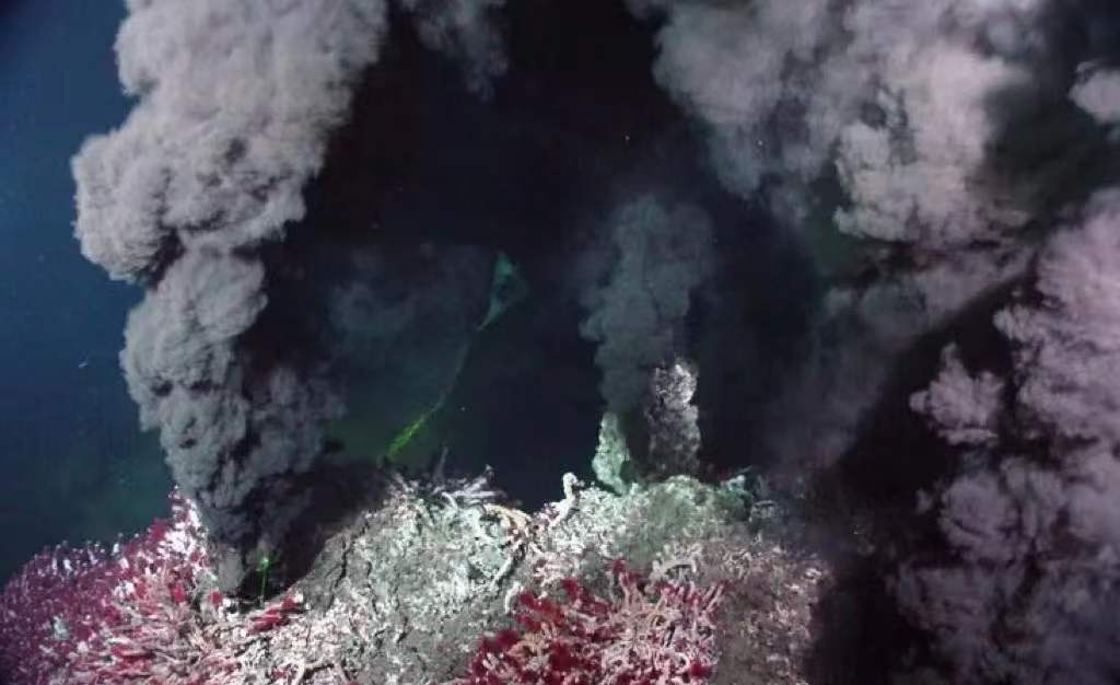 海底火山口生物之谜：没有氧气，没有阳光，温度高达350摄氏度的环境下仍有生命？