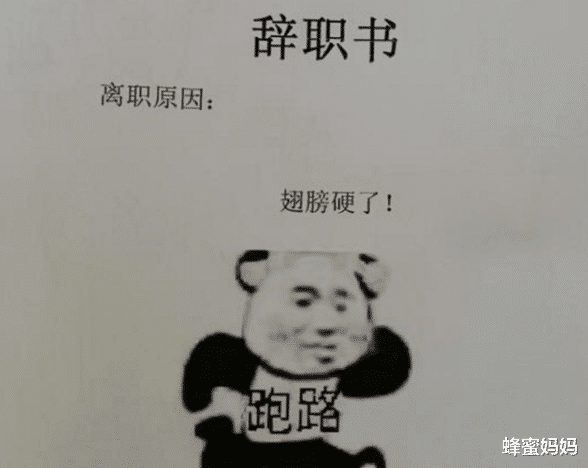 00后|“我嫌你中年油腻”,00后大学生辞职信火出圈,90后表示我服了