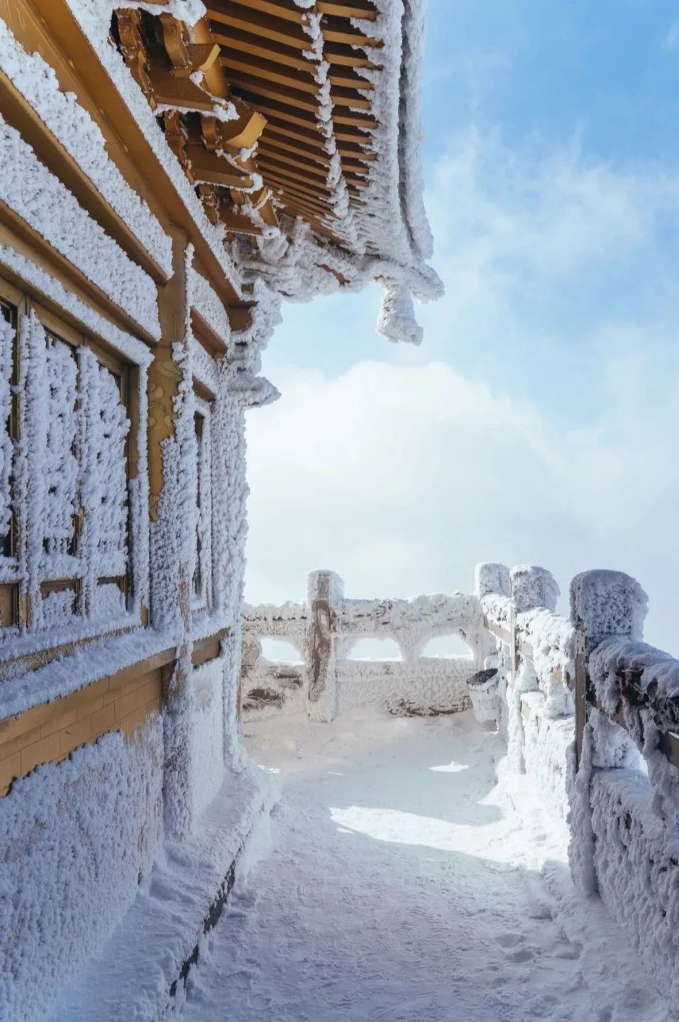 洛阳|中国唯一上榜!2023全球最佳旅行地出炉,低调的它终于被世界看到